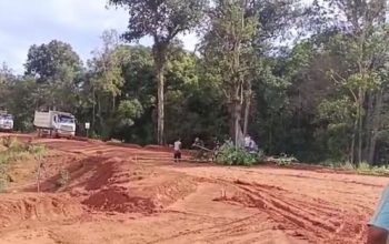 Warga Paser Mentawa tutup akses galian bauksit PT Dinamika Sejahtera Mandiri dan PT Kalimantan Alumina Nusantara. Aksi protes keras akibat janji perusahaan mangkrak bertahun-tahun. Aktivitas tambang terhenti total.