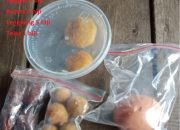 Maman Suratman Minta Evaluasi Pelaksanaan MBG Di SD 11 Sungai Kunyit