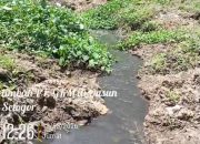 FW & LSM Kalbar Indonesia Laporkan, Aliran Limbah CPO PT GKM Grup HPI ke Sungai Sekayam Tidak Tersentuh Hukum