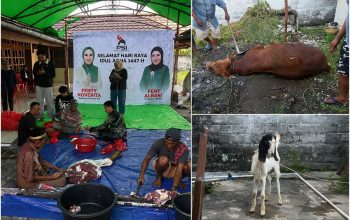Sambut Idul Adha, Fenty Noverita Bendum DPP PSI Adakan Pemotongan Sapi Kurban di Mempawah