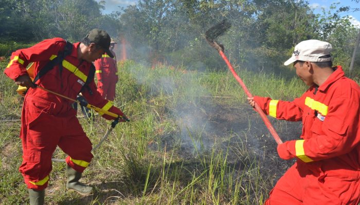 Menghadapi Masa Kritis El Nino Pemerintah Melarang Tegas Pembakaran Hutan Untuk Lahan