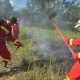 Menghadapi Masa Kritis El Nino Pemerintah Melarang Tegas Pembakaran Hutan Untuk Lahan