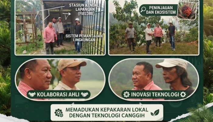 PKS PTPN Meliau Sanggau Kalbar Punya Izin PLC Dilengkapi Sparing
