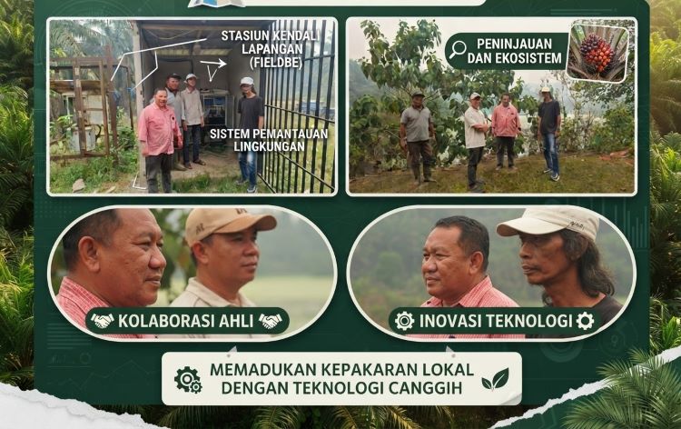 PTPN mengikuti aturan serta ketentuan yang sudah ditetapkan oleh Kementerian Lingkungan Hidup RI dalam pengelolaan limbah cair. Dengan memasang sensor yang terhubung dengan SPARING, agar limbah cair yang dibuang ke sungai benar-benar sudah memenuhi ketentuan sudah ditetapkan pemerintah