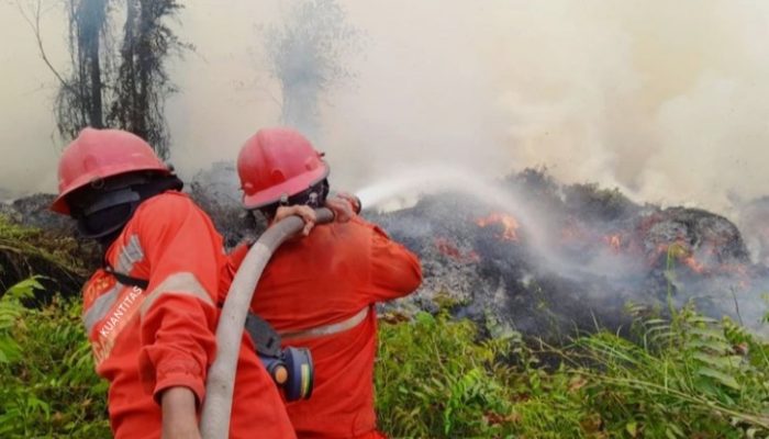 MUI: Presiden Perlu Perhatian Lebih Besar Lagi Terhadap Bencana Karhutla