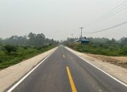 Tantangan terbesar datang dari kendaraan besar. Angkutan CPO dan BBM kerap melintas di ruas jalan nasional ini. Ketika berpapasan, kendaraan-kendaraan itu sering sampai ke bahu jalan. Padahal, bahu jalan tengah dikerjakan. Kondisi ini memicu gangguan serius.