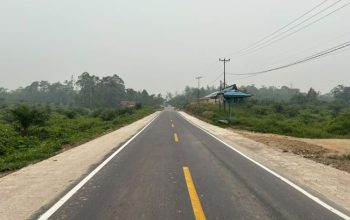 Tantangan terbesar datang dari kendaraan besar. Angkutan CPO dan BBM kerap melintas di ruas jalan nasional ini. Ketika berpapasan, kendaraan-kendaraan itu sering sampai ke bahu jalan. Padahal, bahu jalan tengah dikerjakan. Kondisi ini memicu gangguan serius.